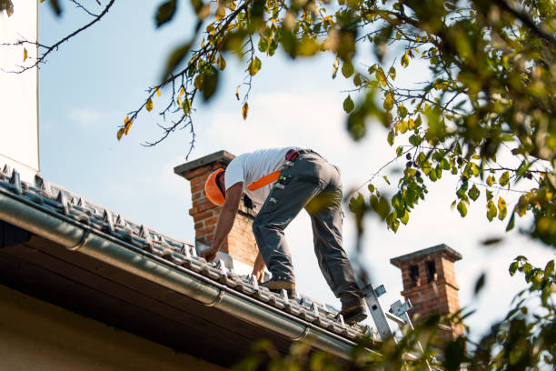 Best Flat Roof Repair Services  in Richville, OH
